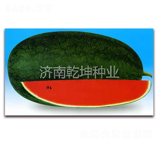 ��ѡ������-��������-Ǭ����ҵ