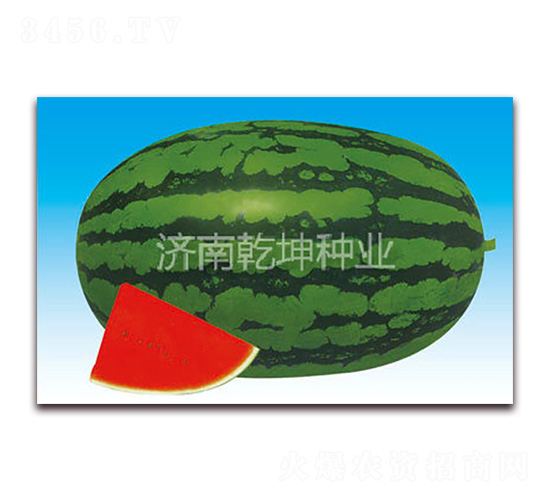 �л������˺�-��������-Ǭ����ҵ