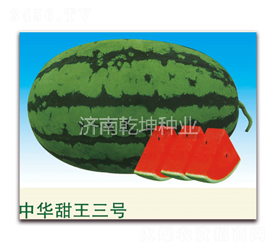 �л���������-��������-Ǭ����ҵ