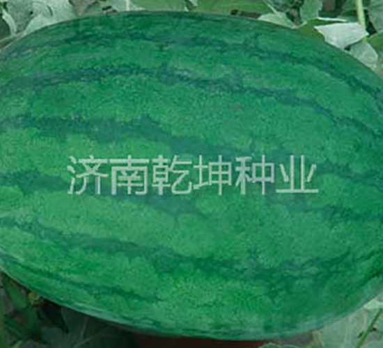 �߿��°˺�-��������-Ǭ����ҵ