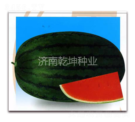 �ش�߿�888-��������-Ǭ����ҵ