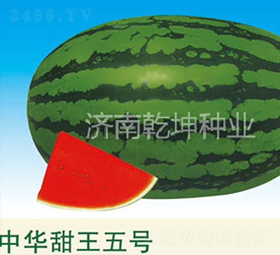 �л��������-��������-Ǭ����ҵ