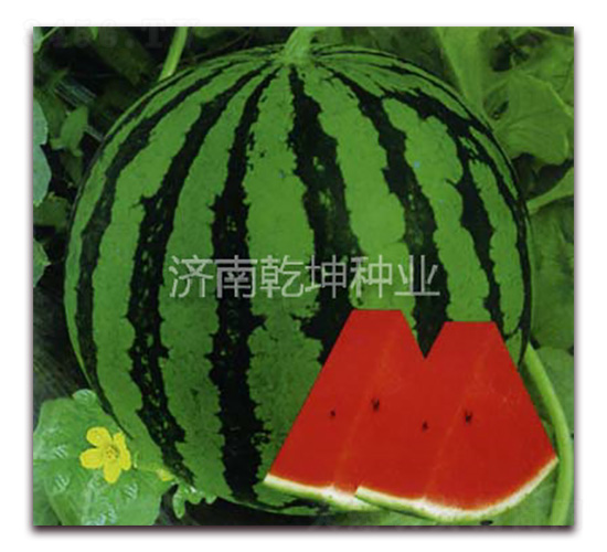 ��ѡ8424-��������-Ǭ����ҵ