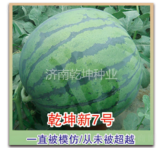 Ǭ����7��-��������-Ǭ����ҵ