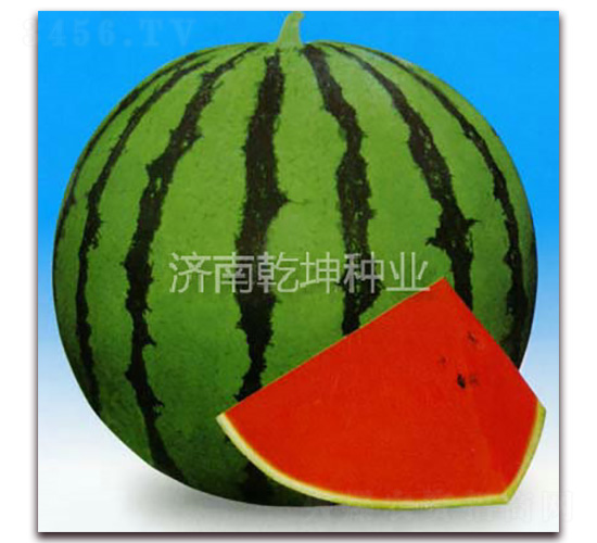 ����һ��-��������-Ǭ����ҵ