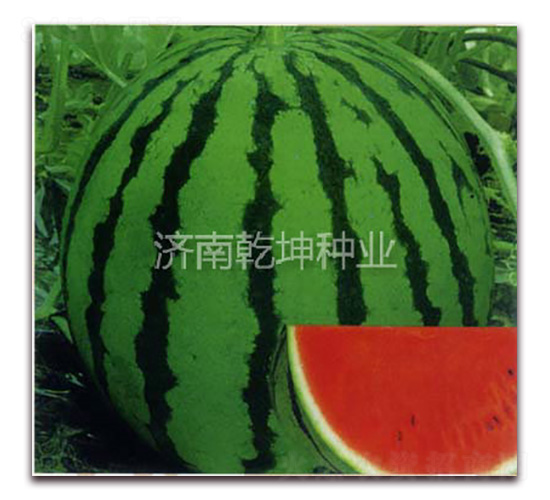 ����816-��������-Ǭ����ҵ