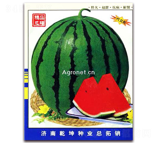 �����ߺ�-��������-Ǭ����ҵ