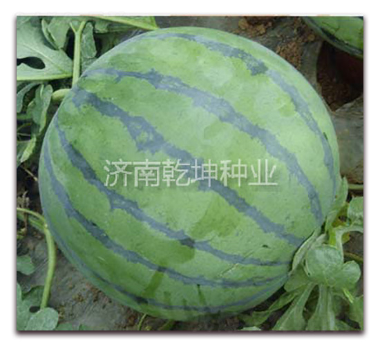 ��ѡ863-��������-Ǭ����ҵ