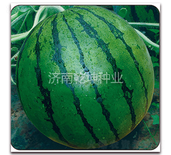 һƷ����-��������-Ǭ����ҵ