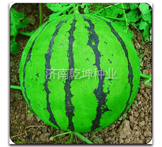 ��Ʒ����-��������-Ǭ����ҵ