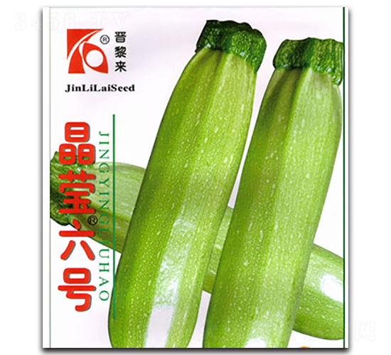 ��Ө����-����«����-������