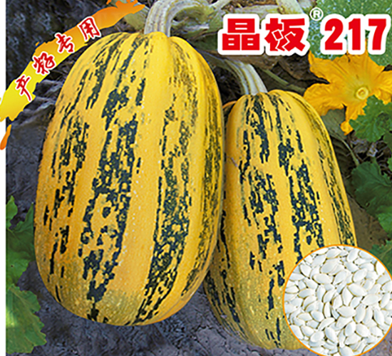 ����217-����«����-������