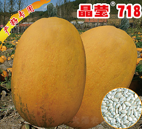 ��Ө718-����«����-������