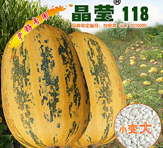 ��Ө118-����«����-������