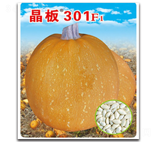 ����301-����«����-������