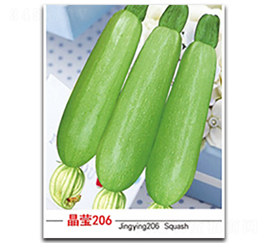 ��Ө206-����«����-������