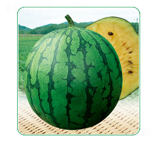�ļ�����5��-��������-��̩��