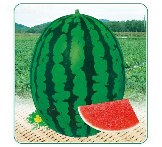 ǮԴ����һ��-��������-��̩��