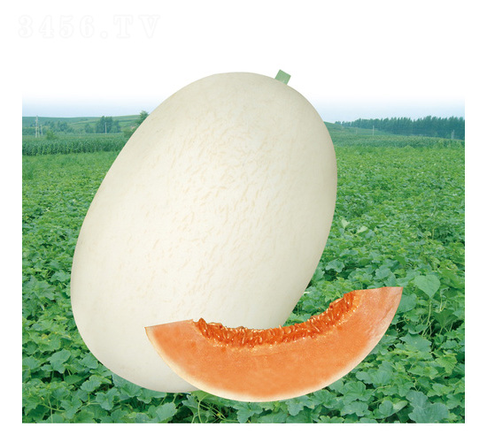 �ļ�����������-�������-��̩��