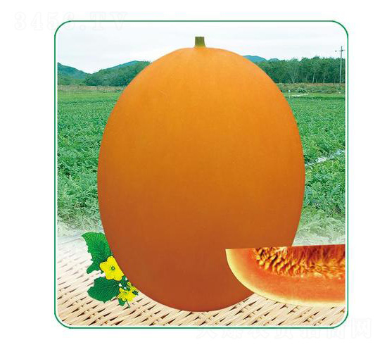 �ļ����5��-�������-��̩��