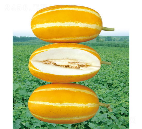 �������ã�20M��3194�����-�������-��̩��