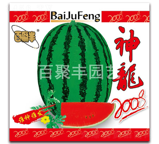 ����2008-��������-�پ۷�