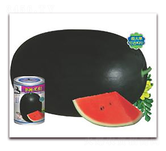 ���ޡ��ڱ�-��������-��ũ��ҵ