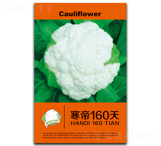 ����160-��Ҭ������-֣��