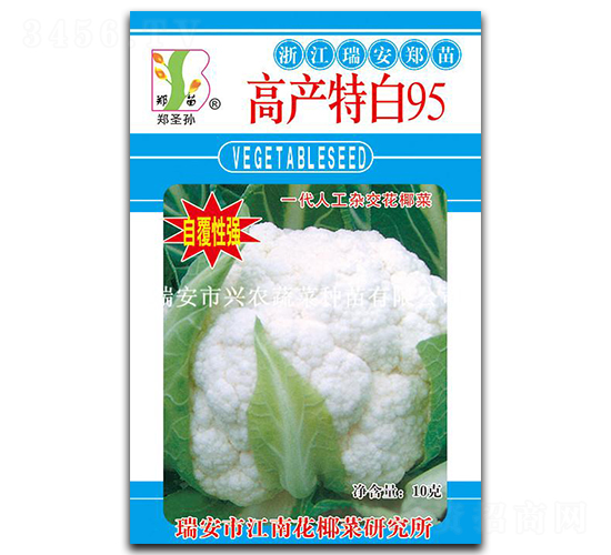 �߲��ذ�95-��Ҭ������-֣��