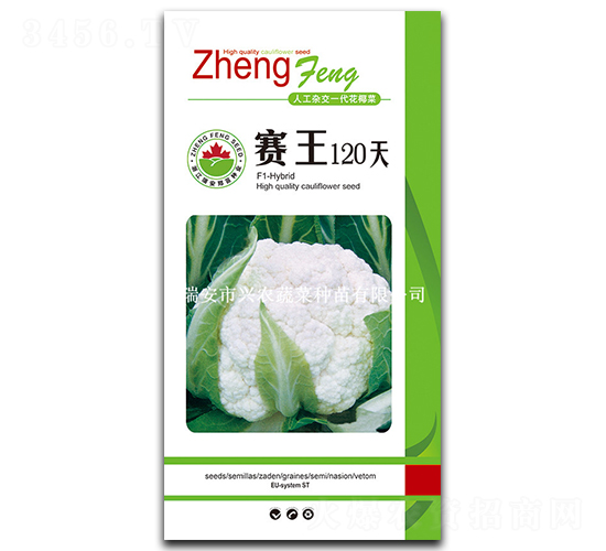 ����120��-��Ҭ������-֣��