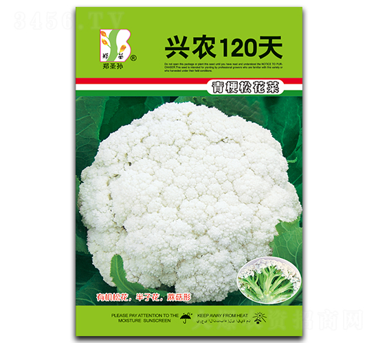 ��ũ120-��Ҭ������-֣��