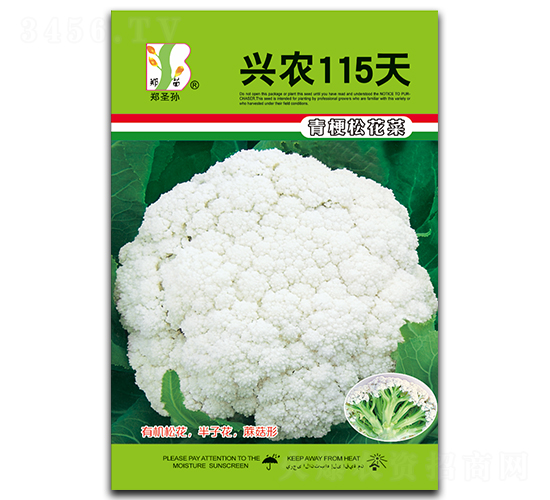 ��ũ115��-��Ҭ������-֣��