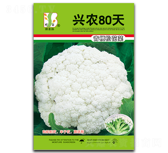 ��ũ80��-��Ҭ������-֣��
