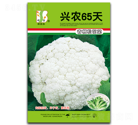 ��ũ65��-��Ҭ������-֣��