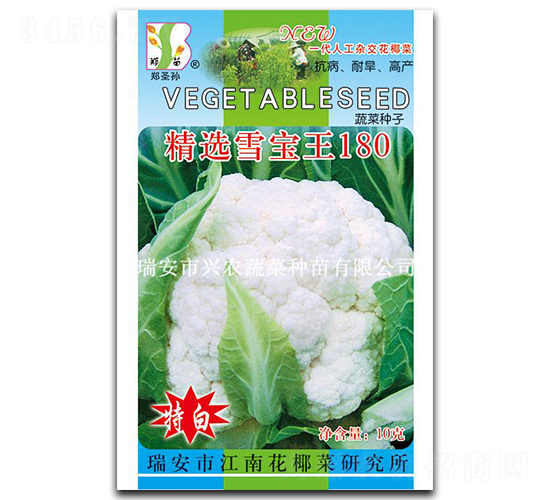 ѩ����180��-��Ҭ������-֣��