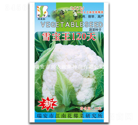 ѩ����120��-��Ҭ������-֣��