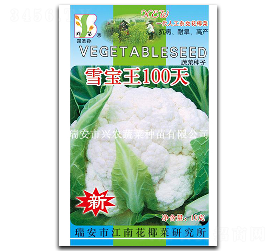 ѩ����100��-��Ҭ������-֣��