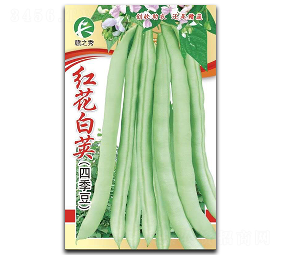 �컨�׼�-�ļ�������-������ҵ