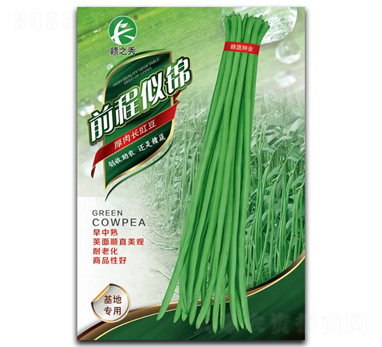 ǰ���ƽ�-��������-������ҵ