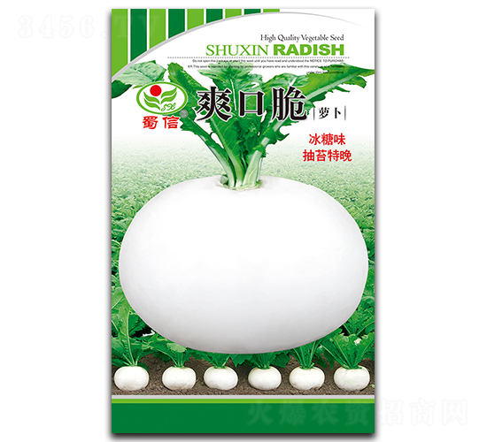 ˬ�ڴ�-�ܲ�����-������ҵ