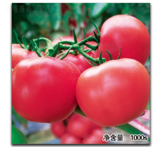 ŵ��1023-��������-�մ�ũҵ