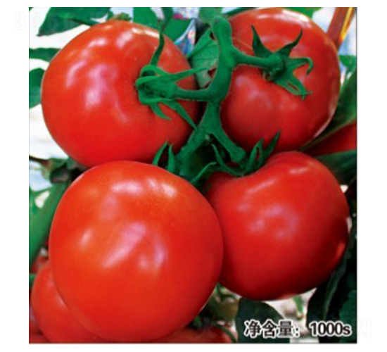 ŵ��288-��������-�մ�ũҵ