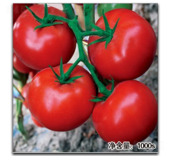 ŵ��089-��������-�մ�ũҵ