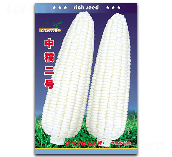 ��Ŵ����-��������-������ҵ