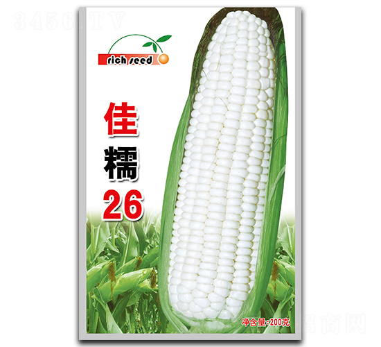 ��Ŵ26-��������-������ҵ