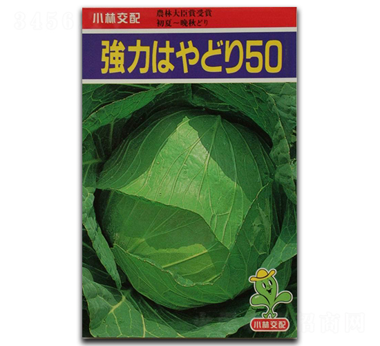 ǿ��50-��������-������ҵ