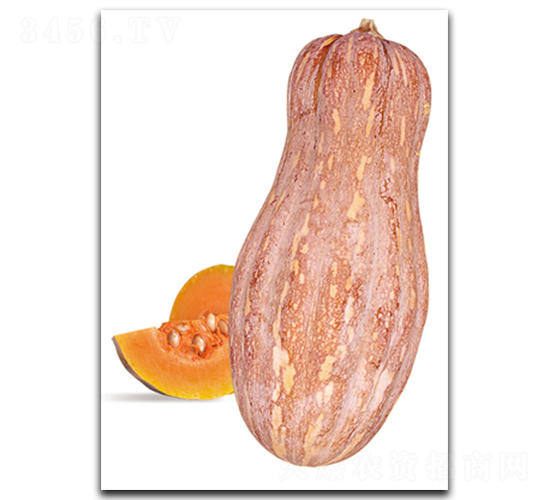 �����ܱ�����-�Ϲ�����-��������