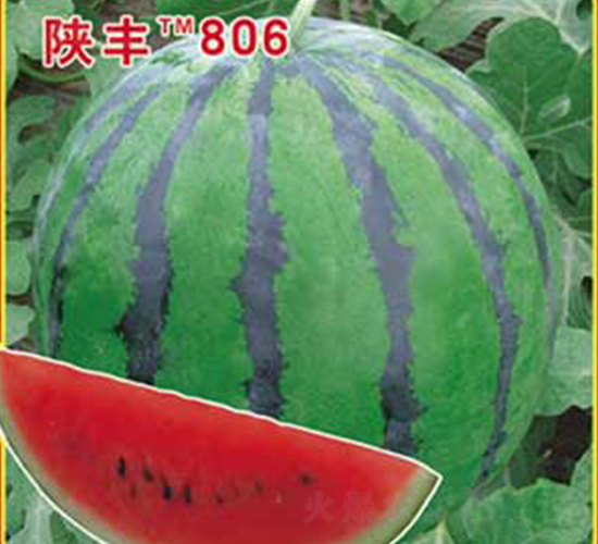 �·�806-��������-�ٷ���ҵ