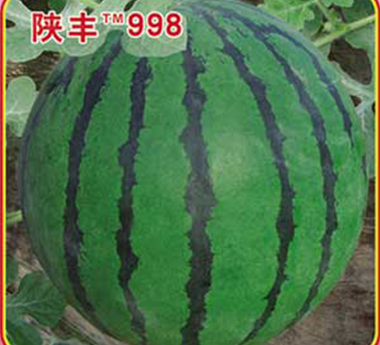 �·�998-��������-�ٷ���ҵ