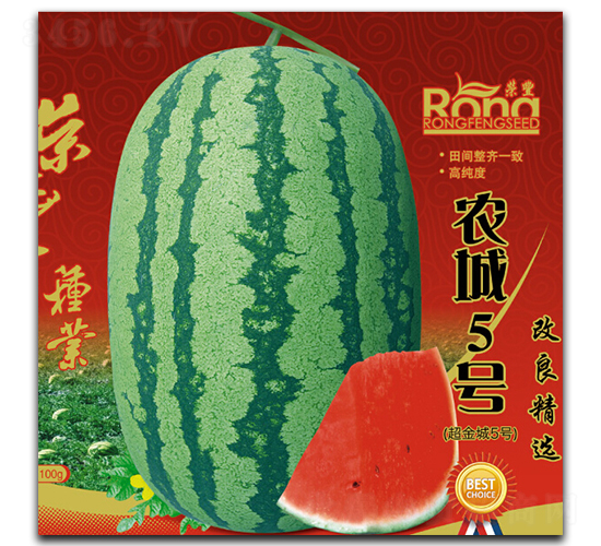 ũ��5��-��������-�ٷ���ҵ